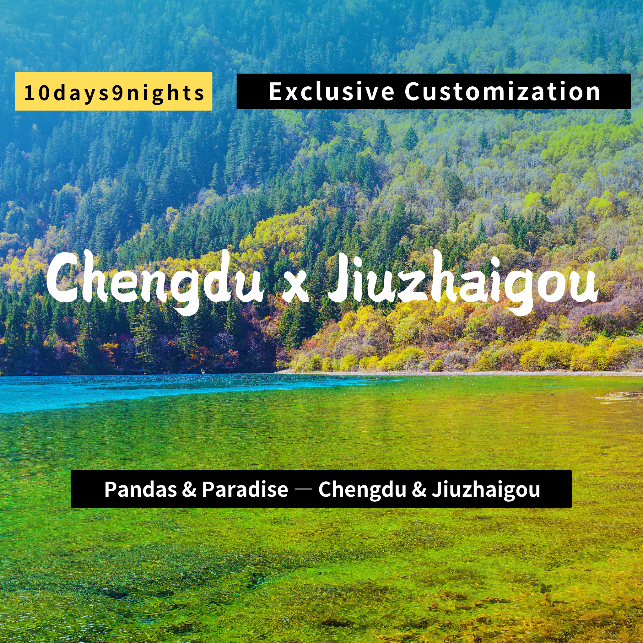 Chengdu & Jiuzhaigou: Nature's Wonder & Panda Paradise.